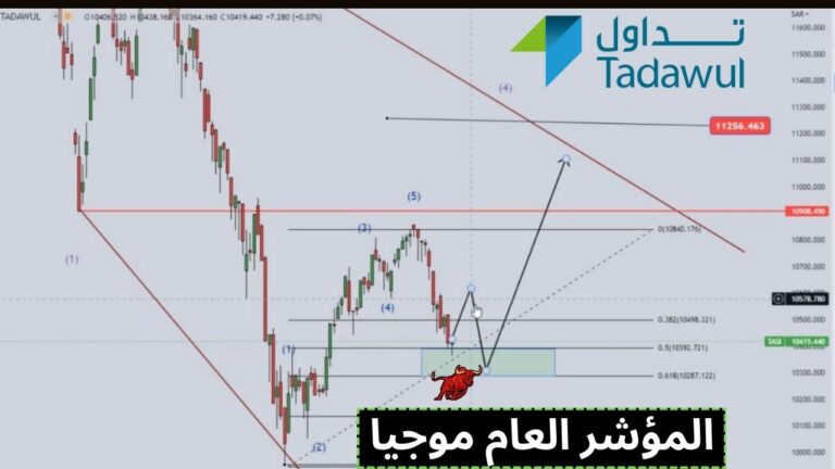 السوق السعودي والموشر العام موجيا